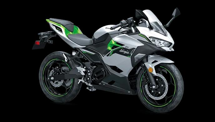 View All Kawasaki Ninja HEV Images