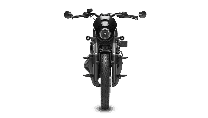 View All Harley Davidson Nightster Images