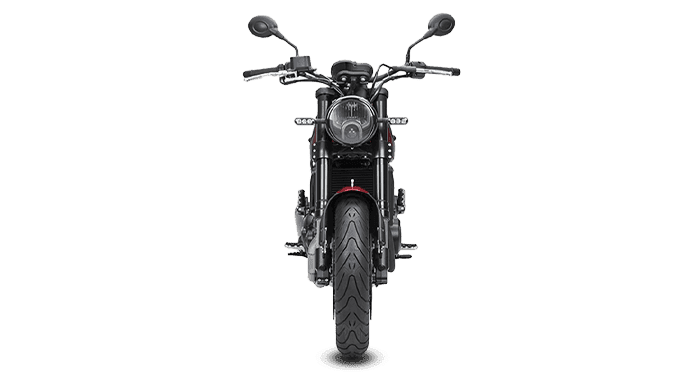 View All Benelli Leoncino 500 Images