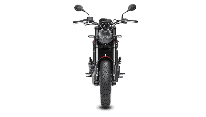 View all Benelli Leoncino 500 Images